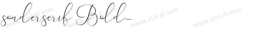 sonderserif Bold字体转换